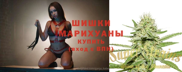 стаф Зеленокумск