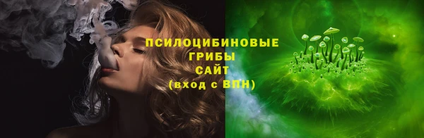 прущие грибы Зеленодольск