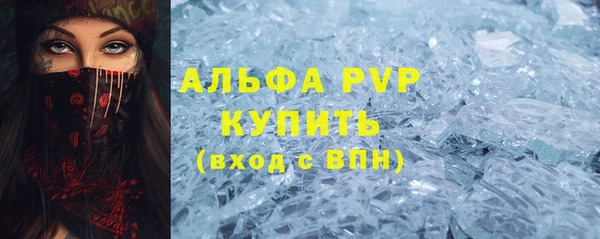 прущие грибы Зеленодольск