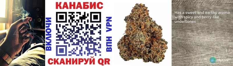Купить где  Тайга  Конопля White Widow 